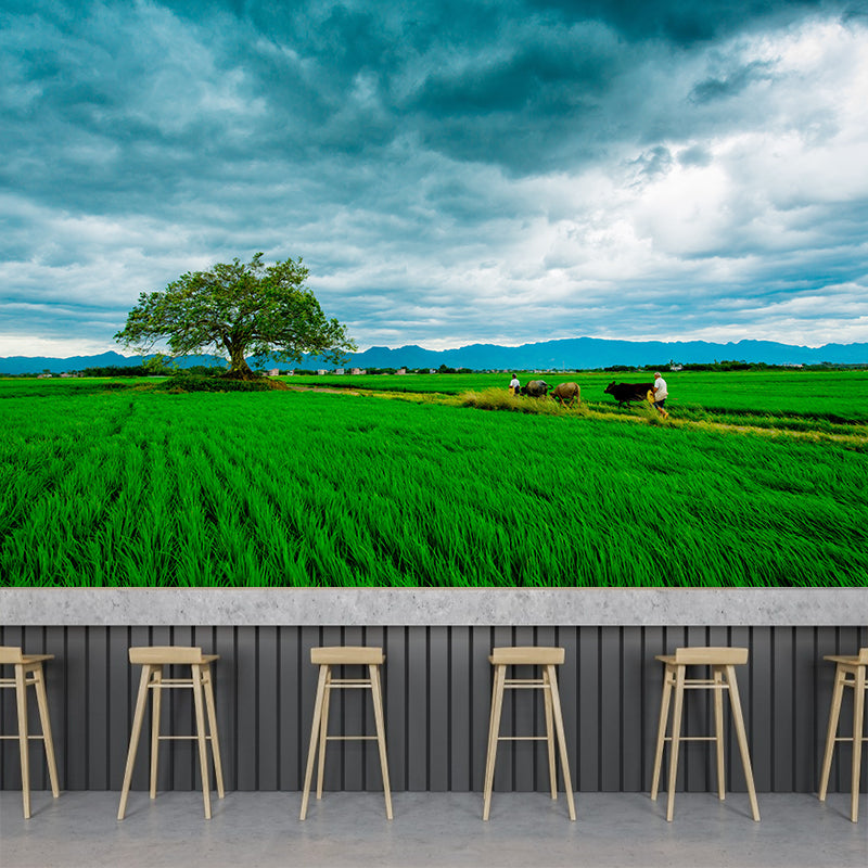 Contemporary Wheat Field Mural Wall Decor Mildew Resistant Wall Mural Wall Art
