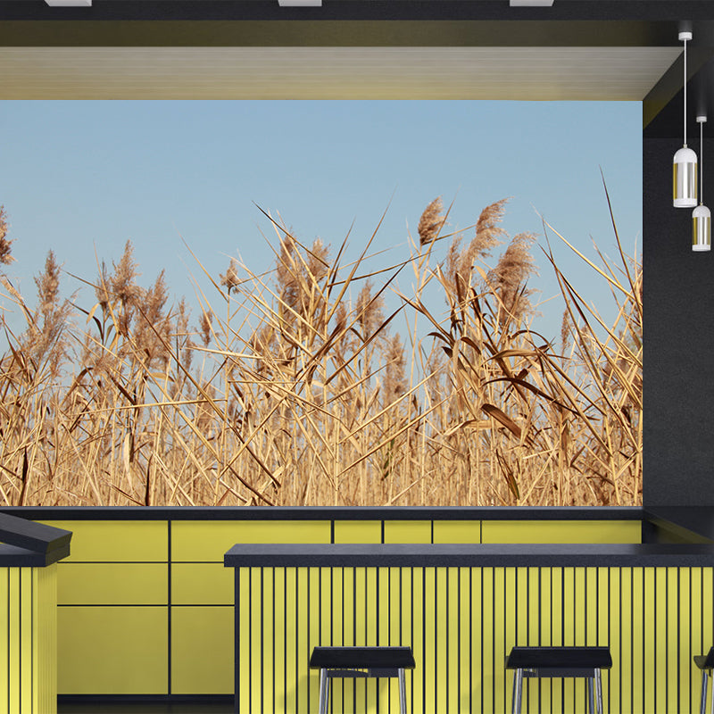 Contemporary Wheat Field Mural Wall Decor Mildew Resistant Wall Mural Wall Art