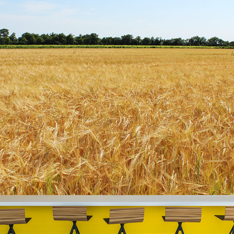 Photography Wheat Field Landscapes Mural Wall Decor Mildew Resistant for Decoration