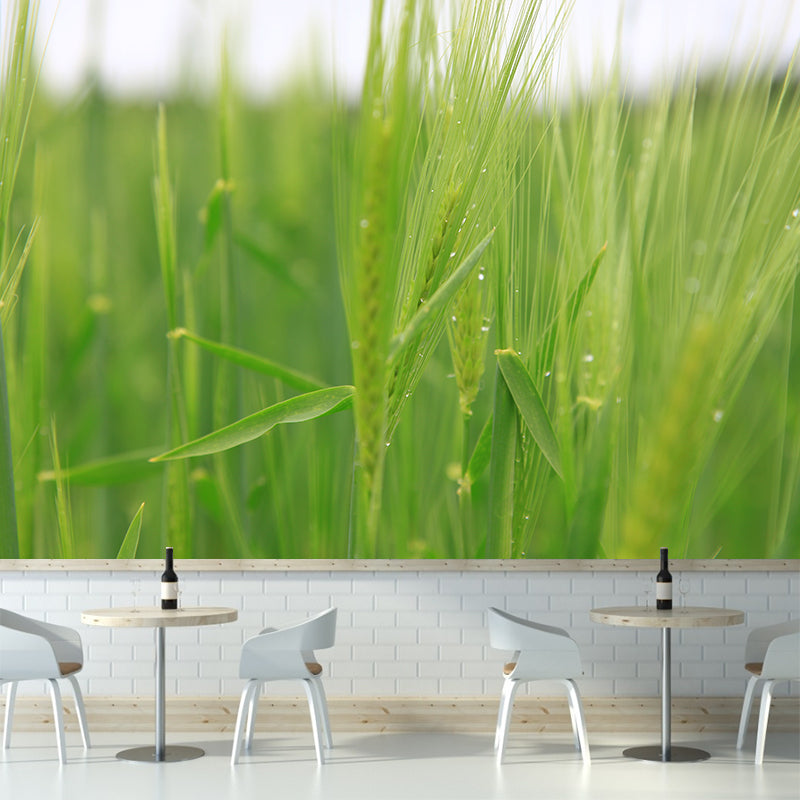 Photography Wheat Field Landscapes Mural Wall Decor Mildew Resistant for Decoration