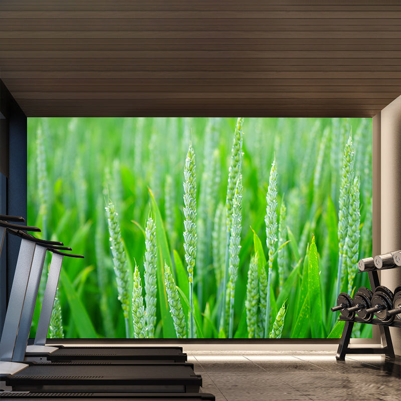 Photography Wheat Field Landscapes Mural Wall Decor Mildew Resistant for Decoration