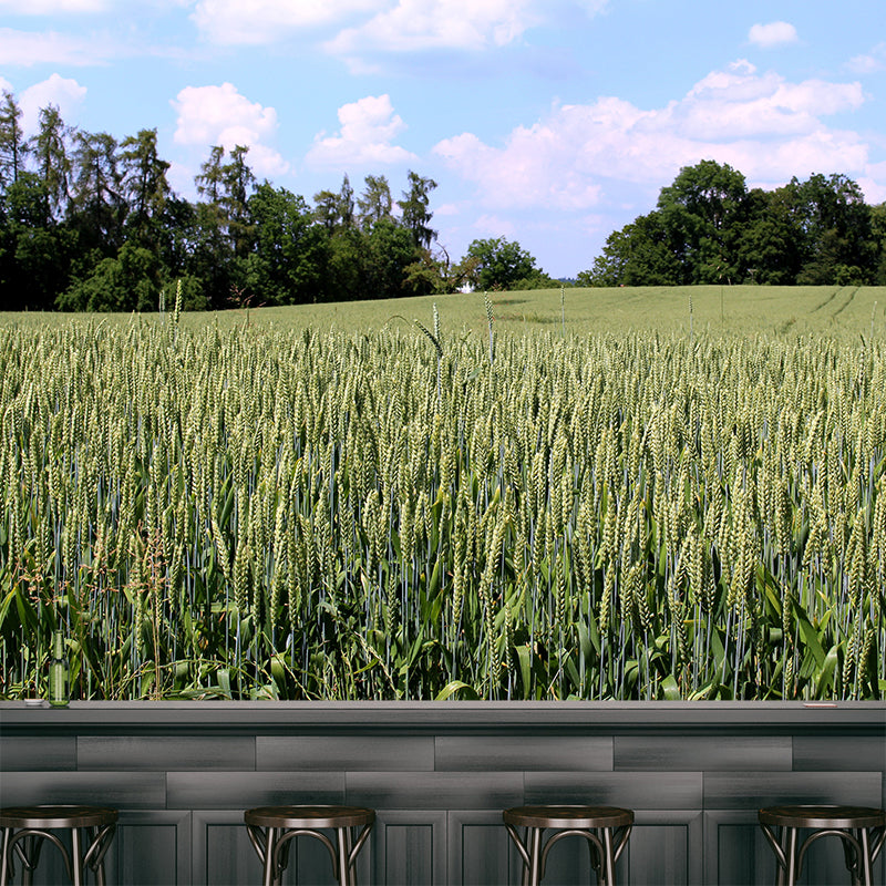 Photography Wheat Field Landscapes Mural Wall Decor Mildew Resistant for Decoration