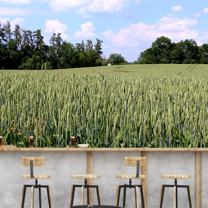 Photography Wheat Field Landscapes Mural Wall Decor Mildew Resistant for Decoration