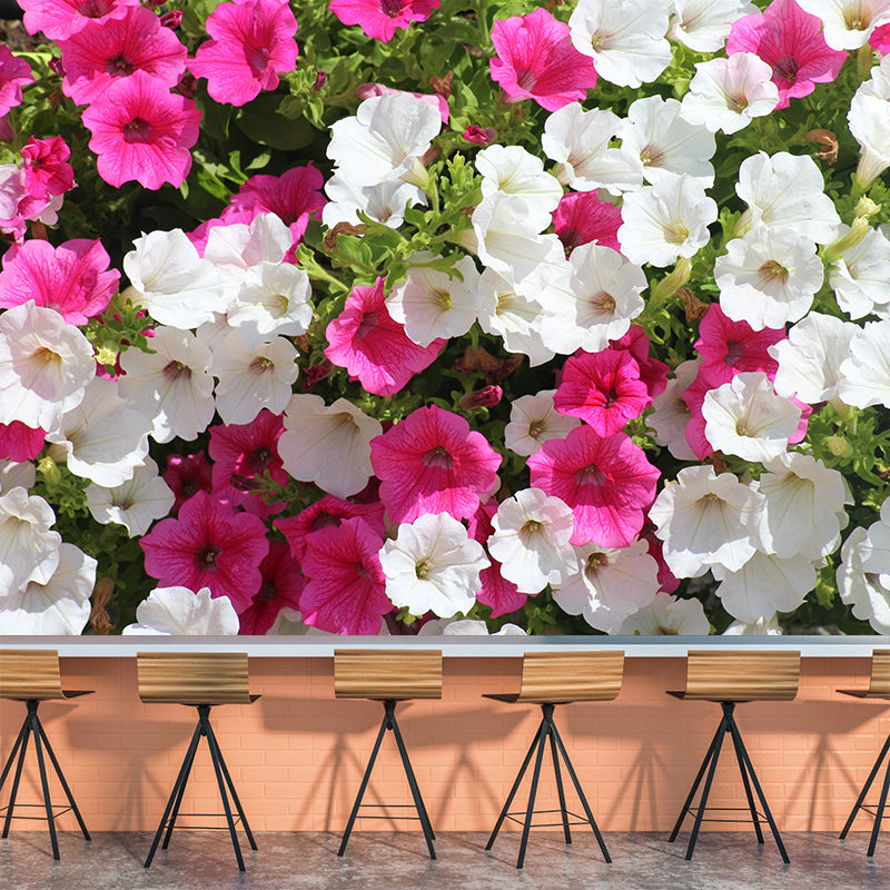 Petunias Flowers Wallpaper Mural Decal Customized Modern Wall Covering for Bedroom