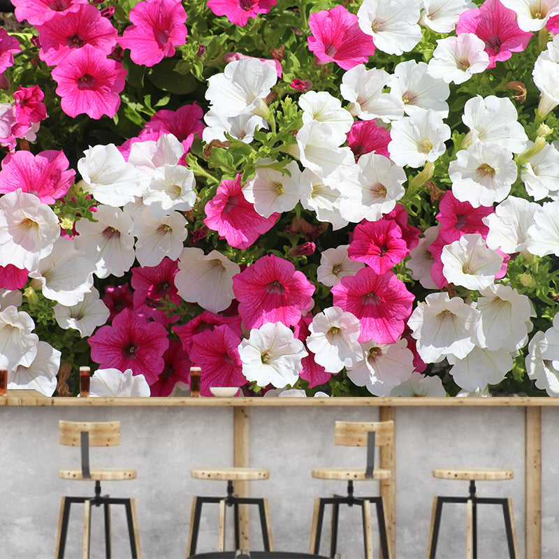 Petunias Flowers Wallpaper Mural Decal Customized Modern Wall Covering for Bedroom
