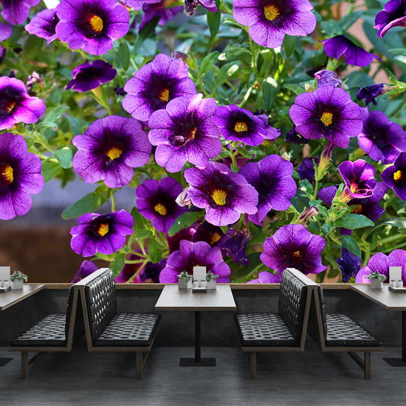 Petunias Flowers Wallpaper Mural Decal Customized Modern Wall Covering for Bedroom