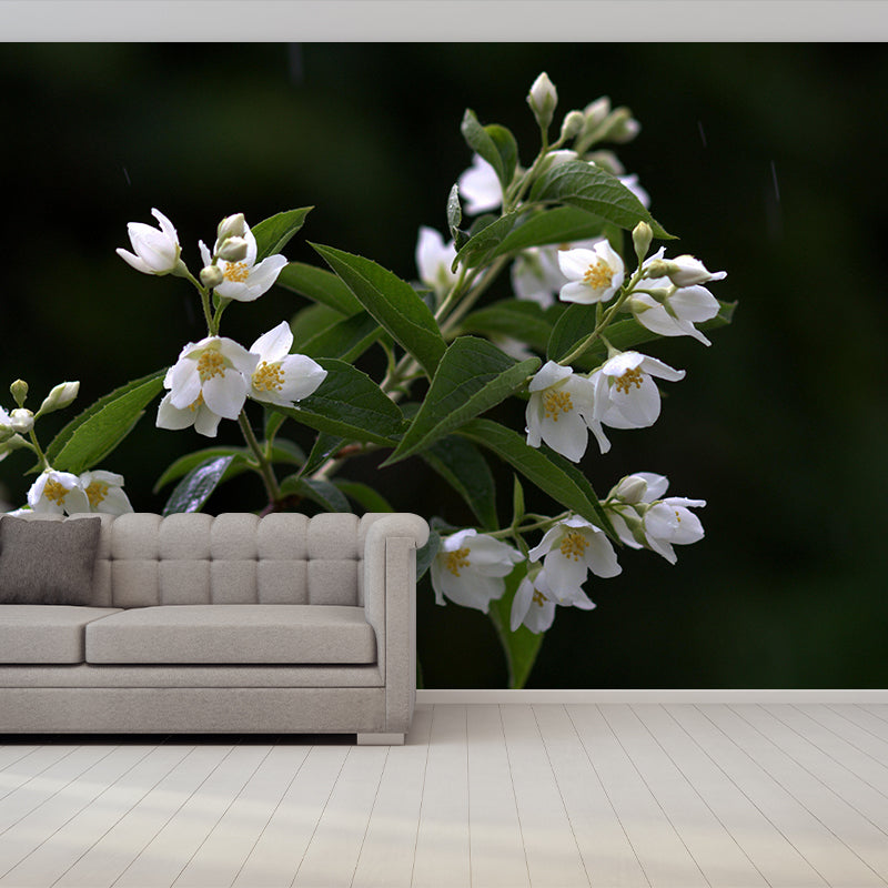 Modern Jasmin Mural Wall Decor Mildew Resistant Living Room Wall Mural Wall Art