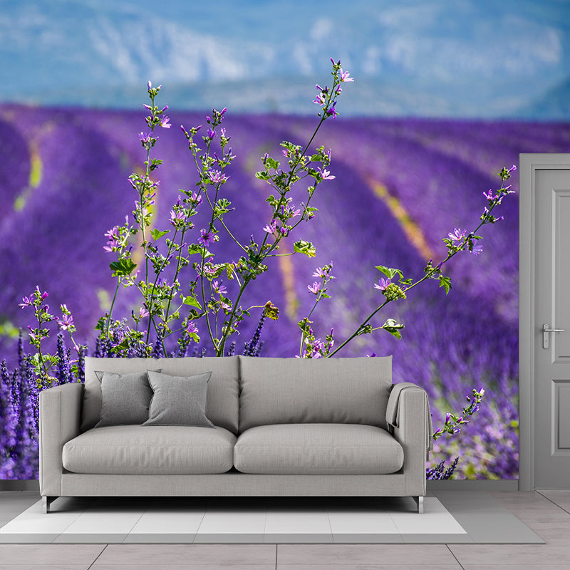 Lavenders Wallpaper Mural Decal Customized Modern Wall Covering for Bedroom