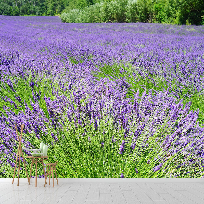 Lavenders Wallpaper Mural Decal Customized Modern Wall Covering for Bedroom
