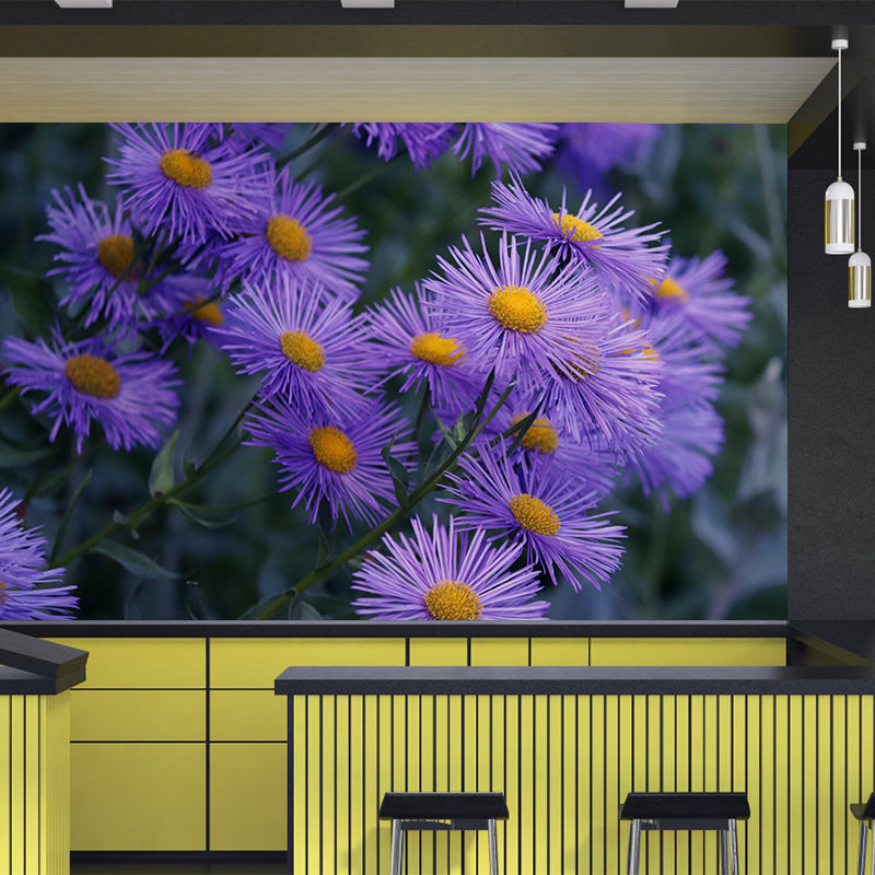 Customized Asters Mural Decal Eco-friendly Wallpaper for Living Room Wall Art