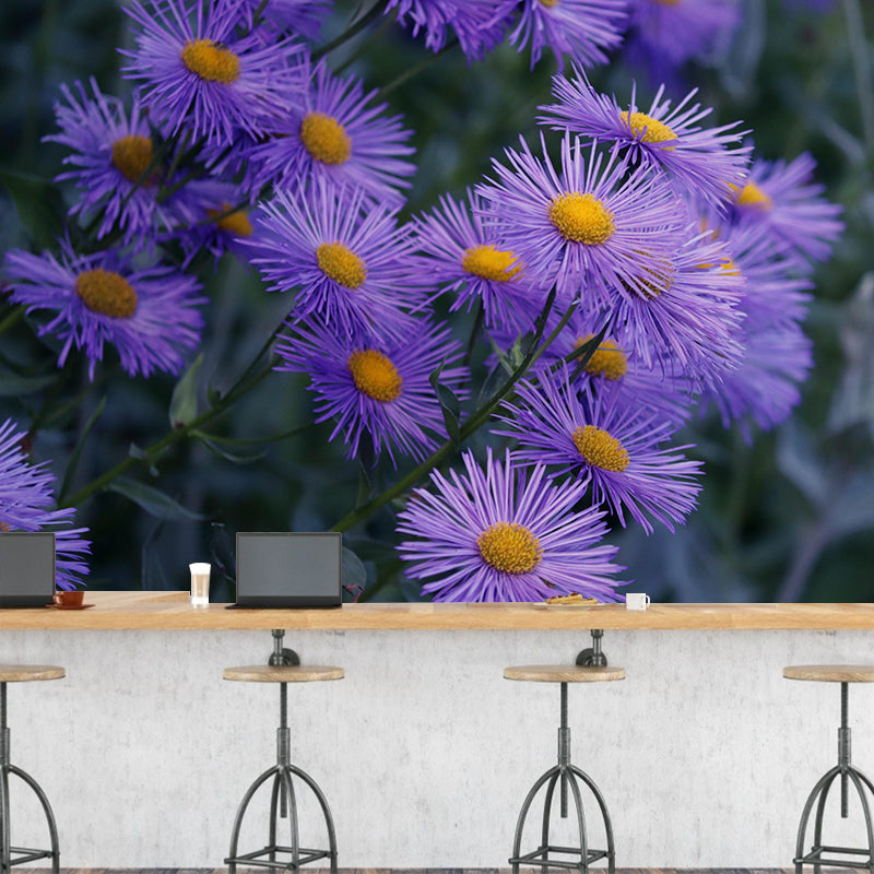 Customized Asters Mural Decal Eco-friendly Wallpaper for Living Room Wall Art