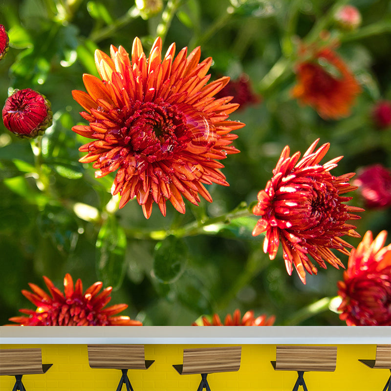 Customized Asters Mural Decal Eco-friendly Wallpaper for Living Room Wall Art