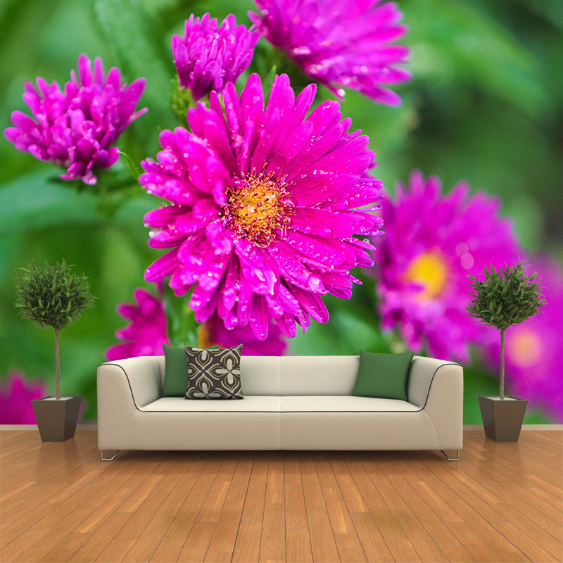 Customized Asters Mural Decal Eco-friendly Wallpaper for Living Room Wall Art