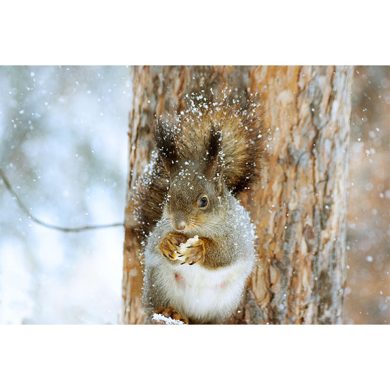 Lovely Squirrel Wallpaper Mural Decal Customized Modern Wall Covering for Bedroom