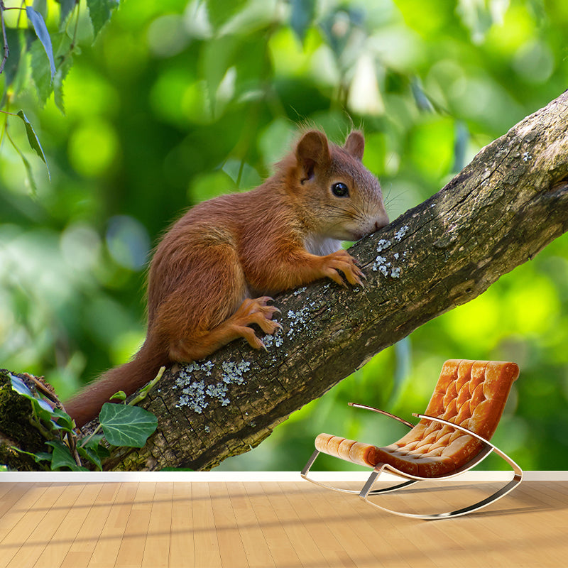 Lovely Squirrel Wallpaper Mural Decal Customized Modern Wall Covering for Bedroom