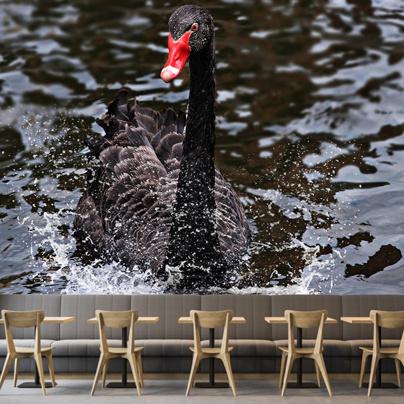Black Swan Wallpaper Mural Decal Customized Modern Wall Covering for Bedroom