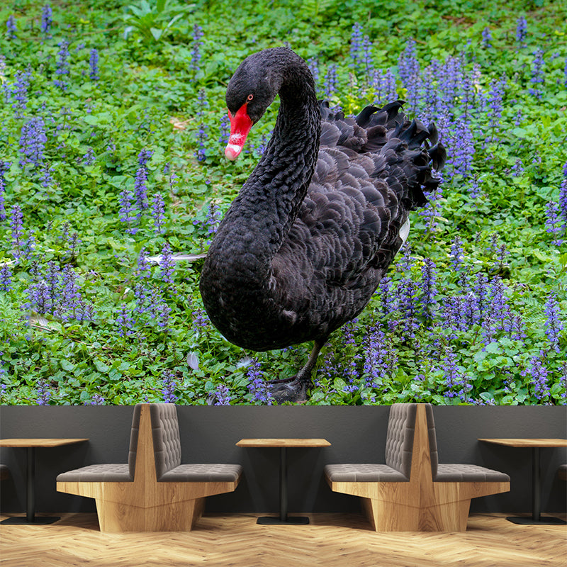 Black Swan Wallpaper Mural Decal Customized Modern Wall Covering for Bedroom