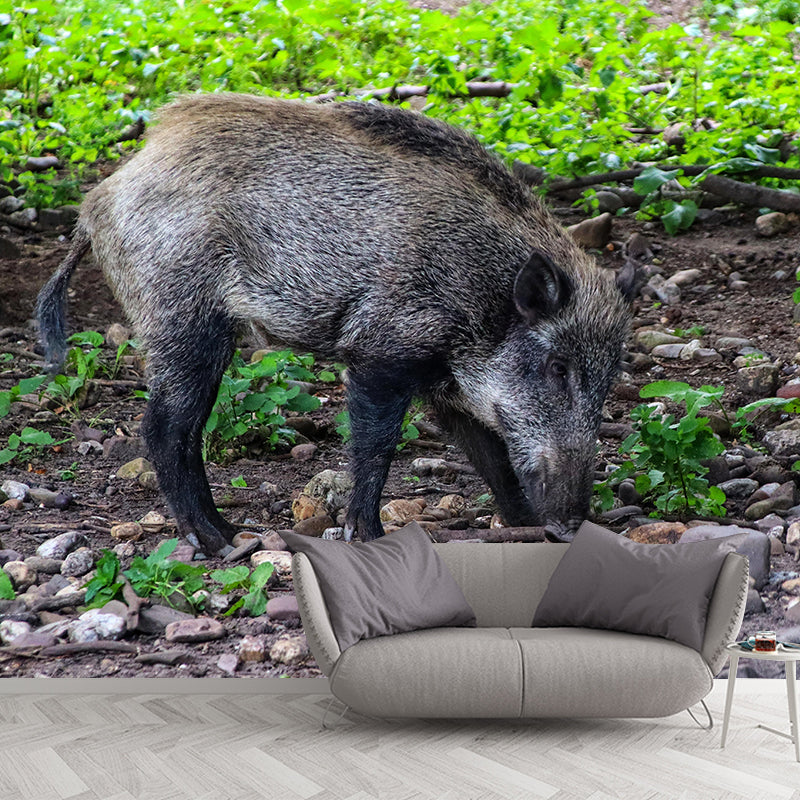 Photography Wild-Boar Mural Wall Decor Mildew Resistant Living Room Wall Mural for Decoration