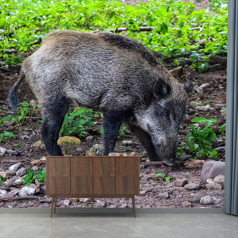 Photography Wild-Boar Mural Wall Decor Mildew Resistant Living Room Wall Mural for Decoration