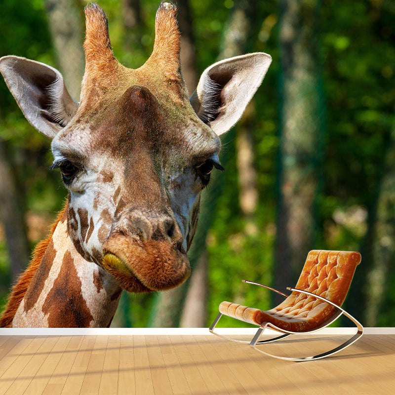 Cute Giraffe Wallpaper Mural Decal Customized Modern Wall Covering for Bedroom