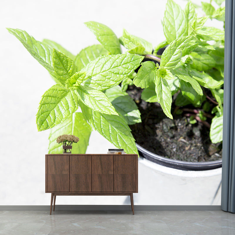 Customized Modern Plants Mural Wallpaper with Cool Mint Leaves Pattern Mildew Resistant