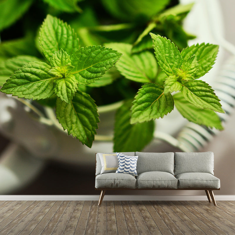 Customized Modern Plants Mural Wallpaper with Cool Mint Leaves Pattern Mildew Resistant
