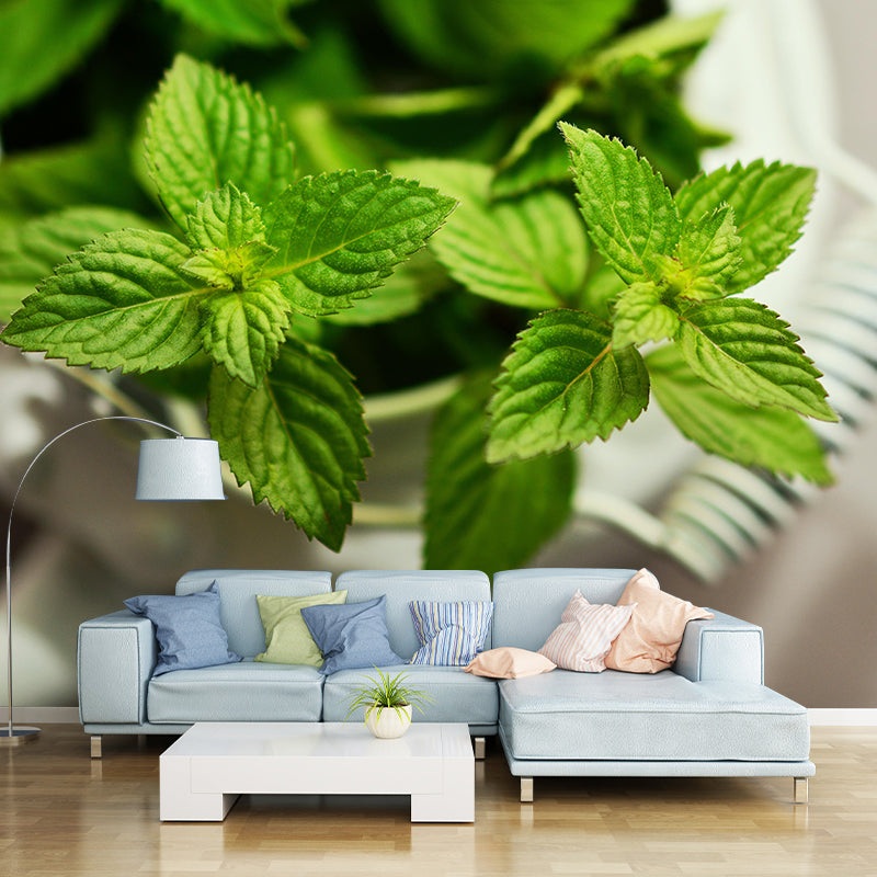 Customized Modern Plants Mural Wallpaper with Cool Mint Leaves Pattern Mildew Resistant