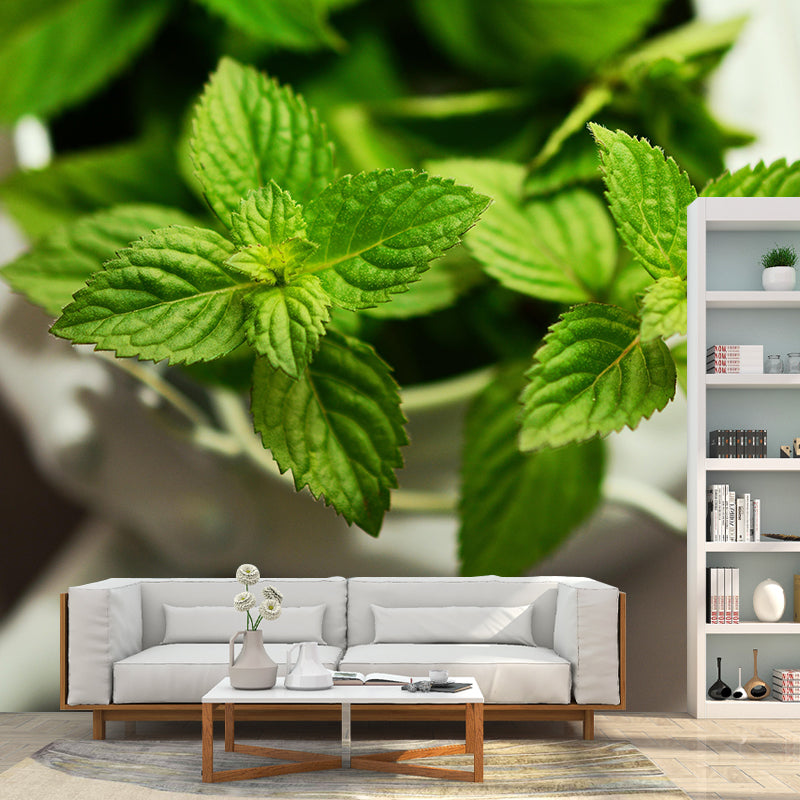 Customized Modern Plants Mural Wallpaper with Cool Mint Leaves Pattern Mildew Resistant