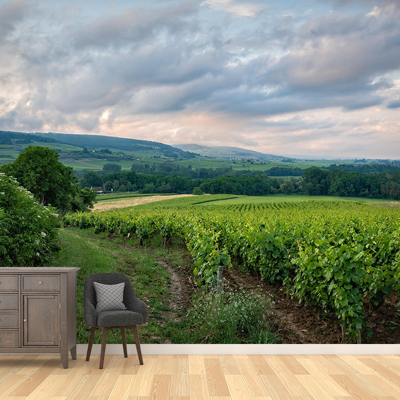 Customized Modern Grapevine Mural Wallpaper Green Plants Mildew Resistant