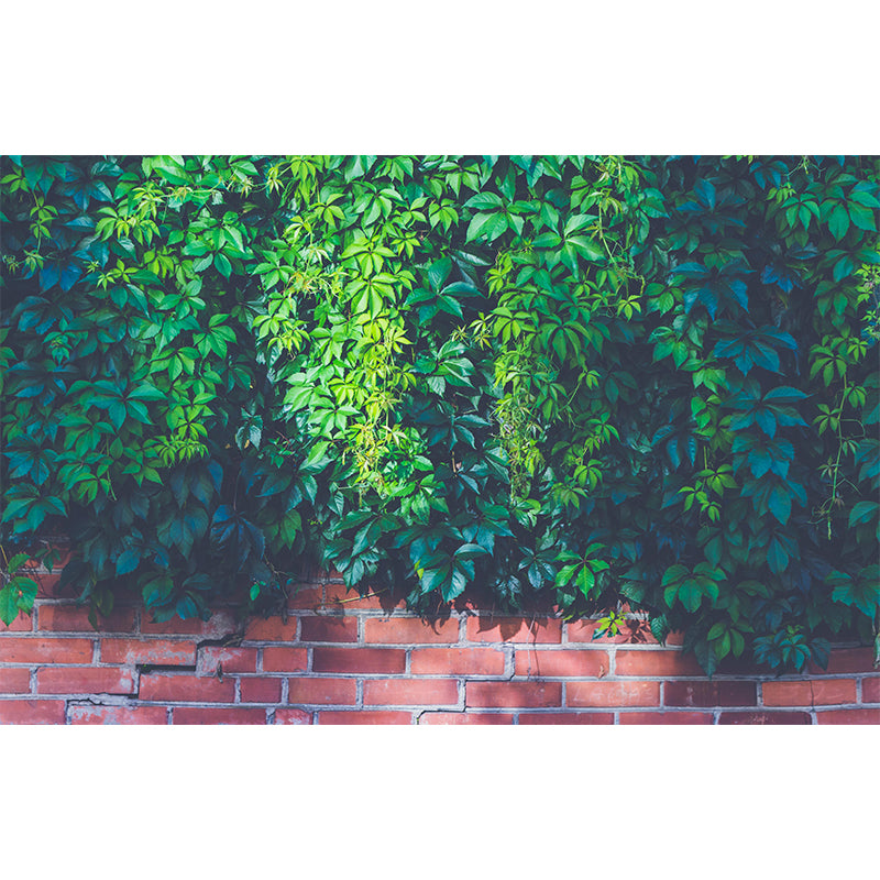 Customized Modern Grapevine Mural Wallpaper Green Plants Mildew Resistant