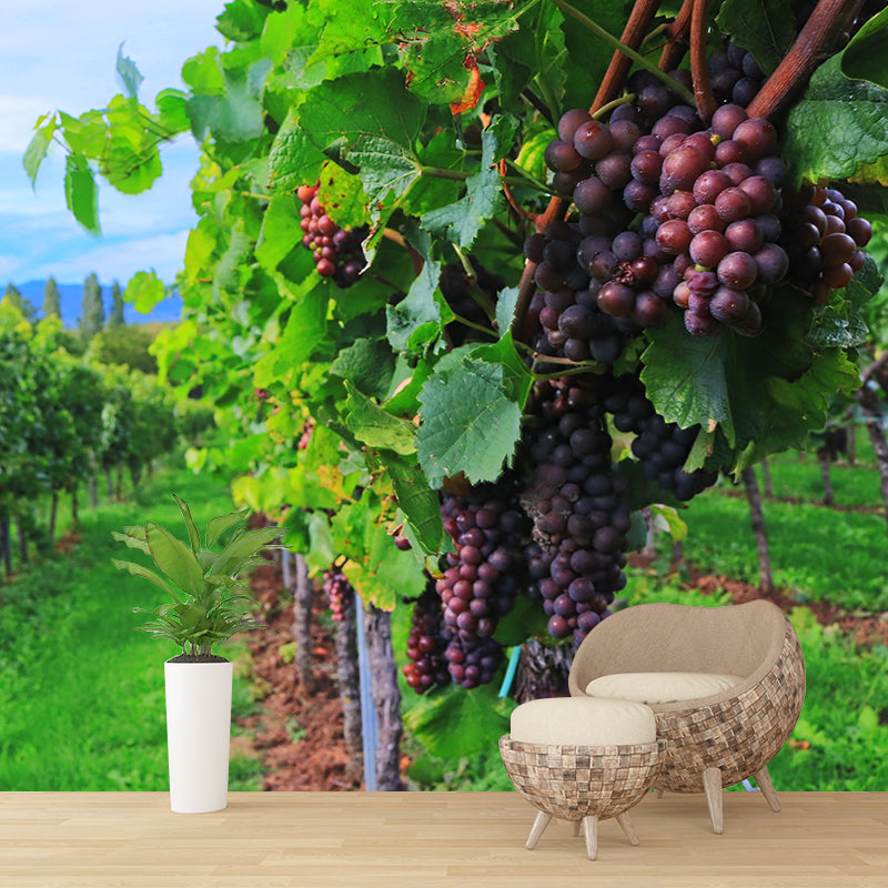 Customized Modern Grapevine Mural Wallpaper Green Plants Mildew Resistant