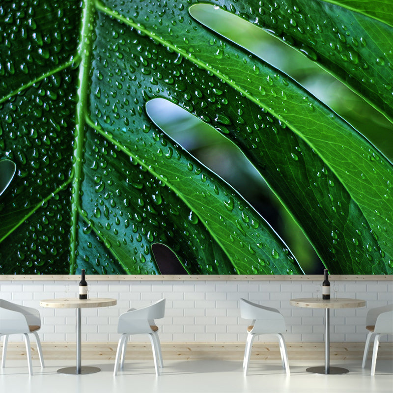 Customized Tropical Monstera Mural Wallpaper Kitchen Murals Backsplash Mildew Resistant