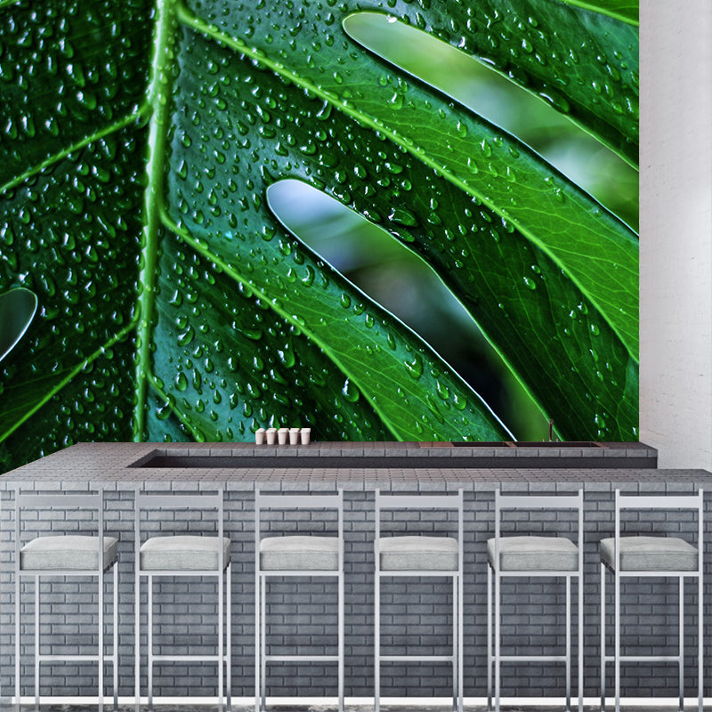 Customized Tropical Monstera Mural Wallpaper Kitchen Murals Backsplash Mildew Resistant