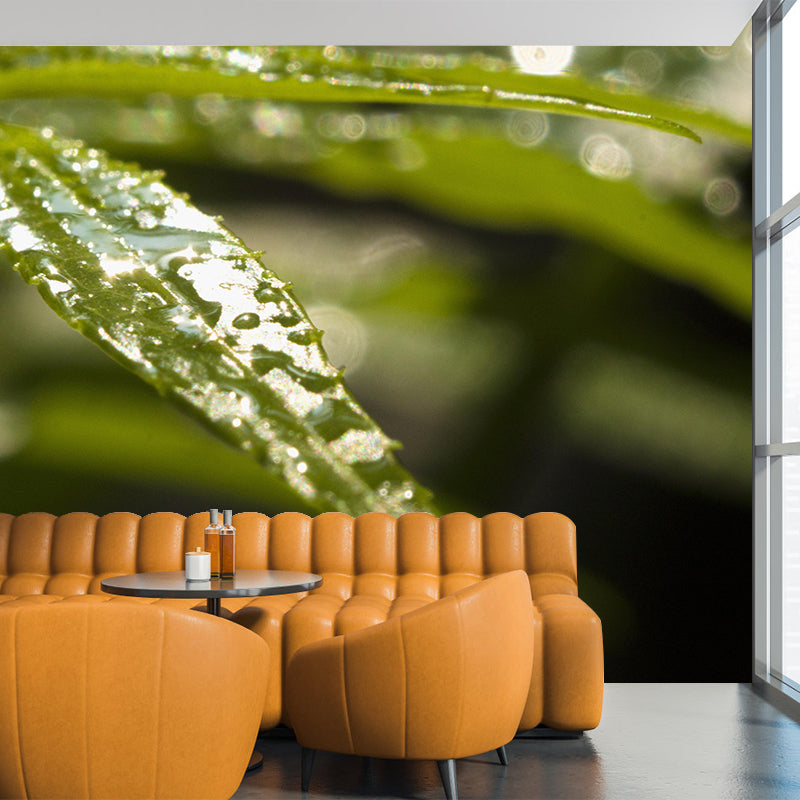 Customized Tropical Monstera Mural Wallpaper Kitchen Murals Backsplash Mildew Resistant