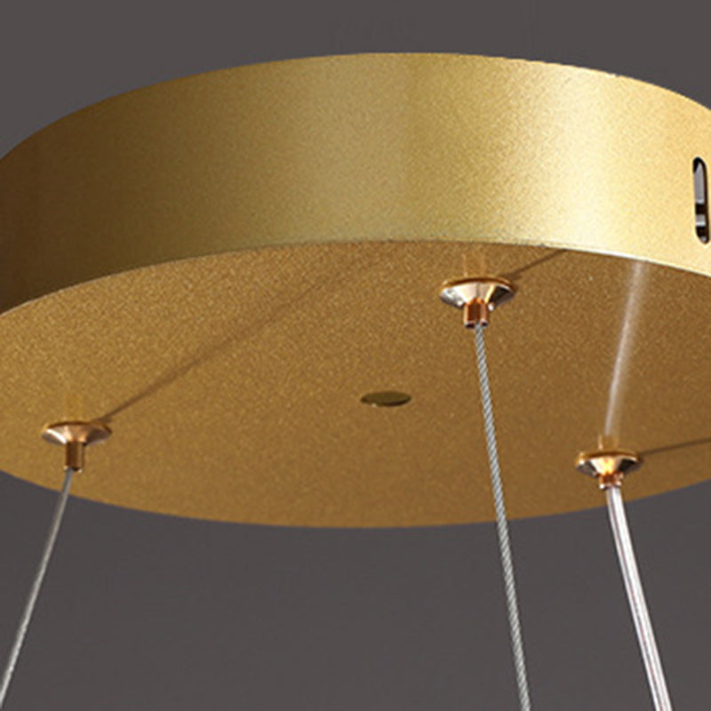 Orbicular Hanging Ceiling Light, Luxurious Acrylic Single Light Hanging Light Fixtures in Gold