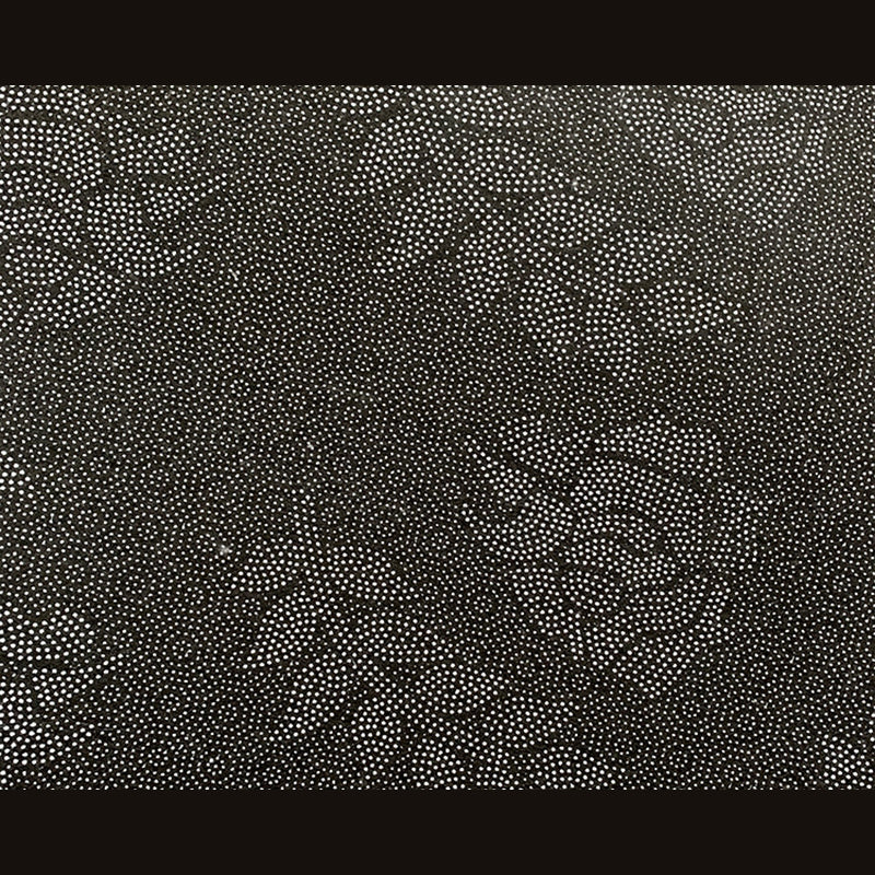 Modern Geometric Pattern Carpet Polyester Area Rug Stain Resistant Indoor Carpet for Home Decoration