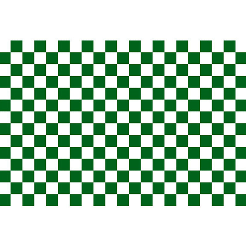 Minimalist Checkered Print Rug Polyester Area Carpet Stain Resistant Carpet for Home Decoration