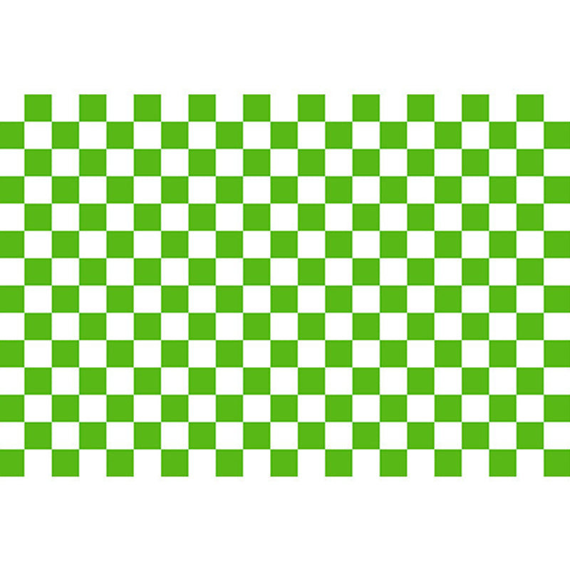 Minimalist Checkered Print Rug Polyester Area Carpet Stain Resistant Carpet for Home Decoration