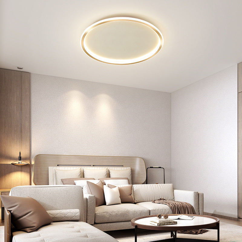 Gold Looped LED Ceiling Fixture Simple Concise Acrylic Flush Mount Lighting for Corridor Porch