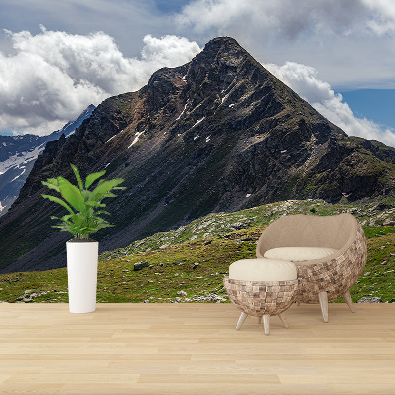 Alpine Wall Covering Water Resistant Mural Wallpaper for Home Decoration