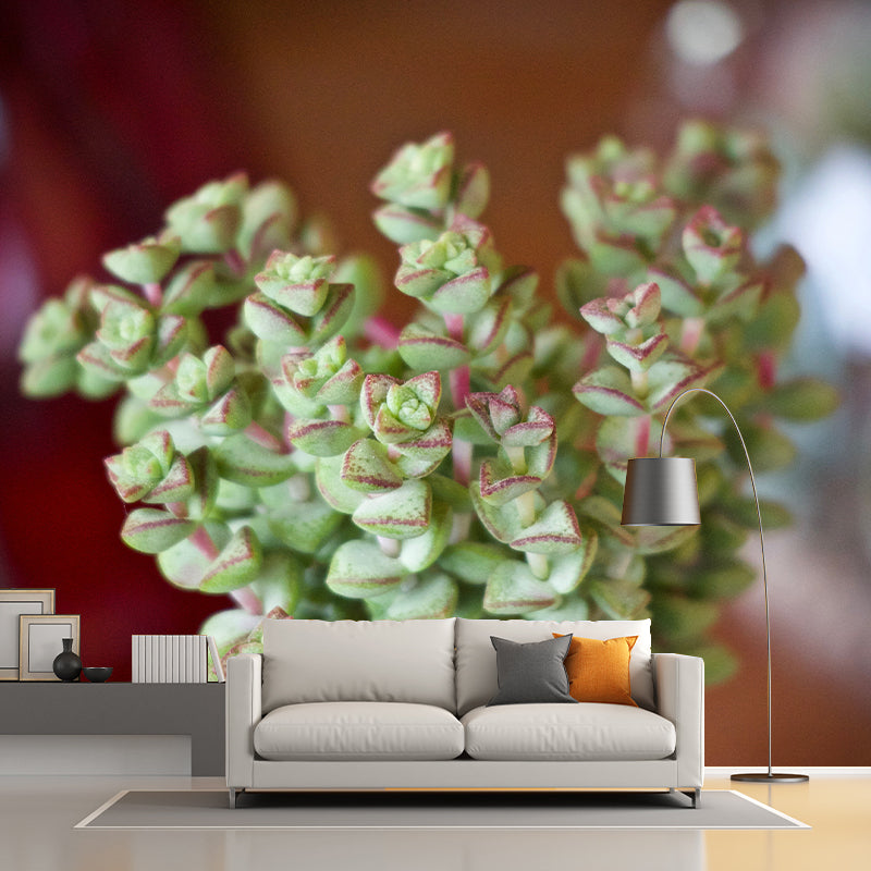 Green Plant Wall Covering Customized Size Wall Mural for Study Room, Washable