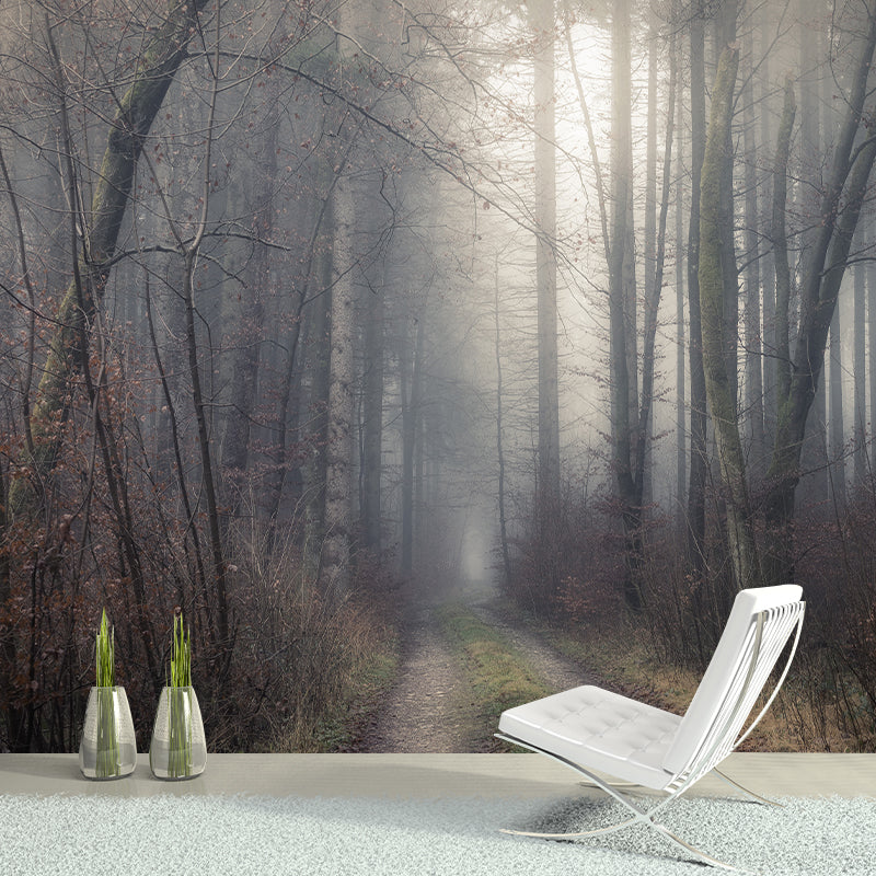 Forest Scenery Wall Mural Modern Home Decor for Sitting Room, Water Resistant