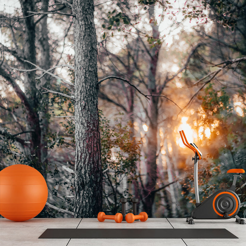 Simple Forest Photo Stain Resistant Mural Decal Modern Wall Decor for Sleeping Room