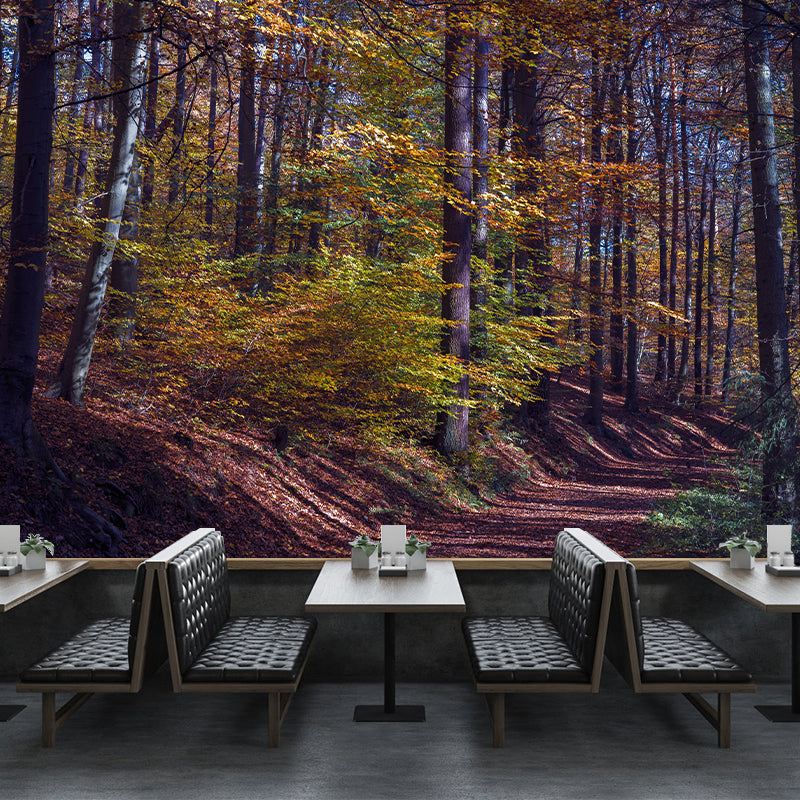 Simple Forest Photo Stain Resistant Mural Decal Modern Wall Decor for Sleeping Room