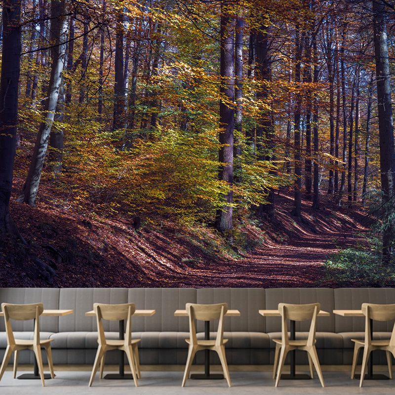Simple Forest Photo Stain Resistant Mural Decal Modern Wall Decor for Sleeping Room