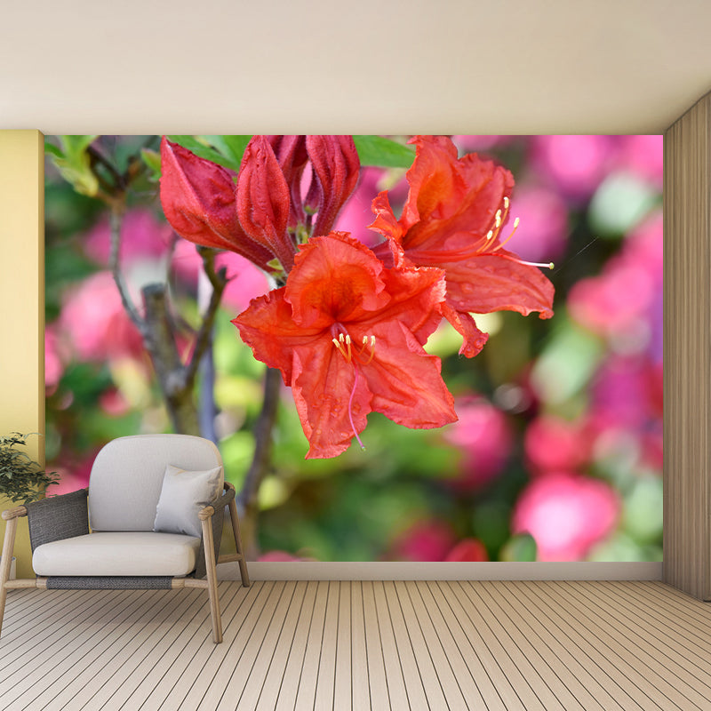 Modernist Rhododendron Murals Decal Stain Resistant Wall Art for Girls' Bedroom