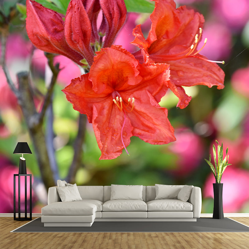 Modernist Rhododendron Murals Decal Stain Resistant Wall Art for Girls' Bedroom