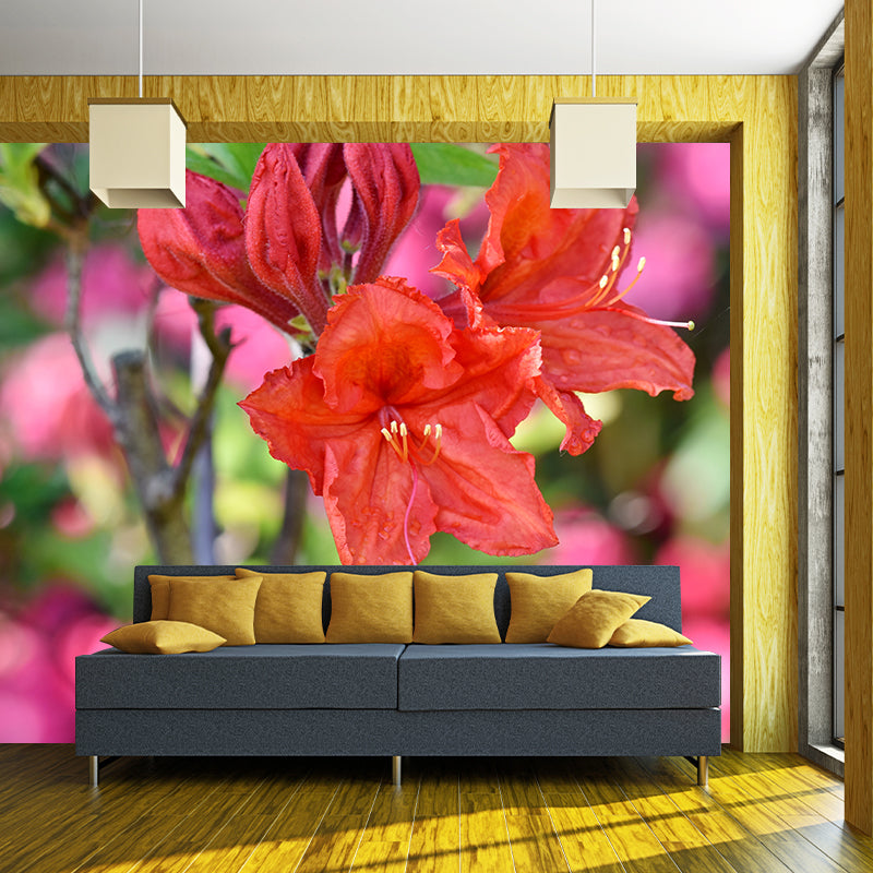 Modernist Rhododendron Murals Decal Stain Resistant Wall Art for Girls' Bedroom