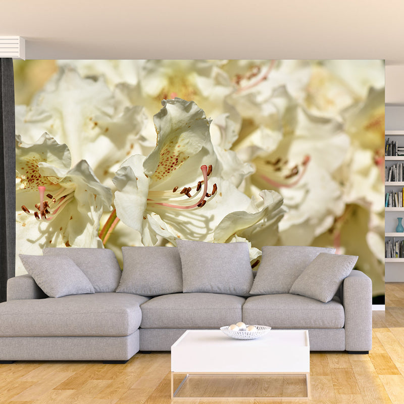 Modernist Rhododendron Murals Decal Stain Resistant Wall Art for Girls' Bedroom