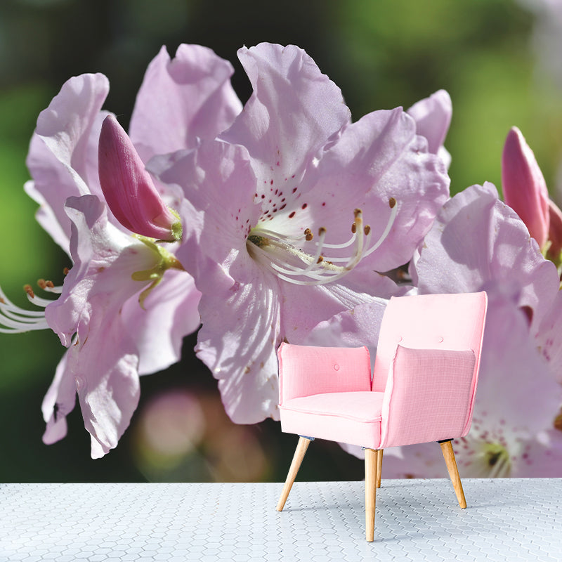 Modernist Rhododendron Murals Decal Stain Resistant Wall Art for Girls' Bedroom